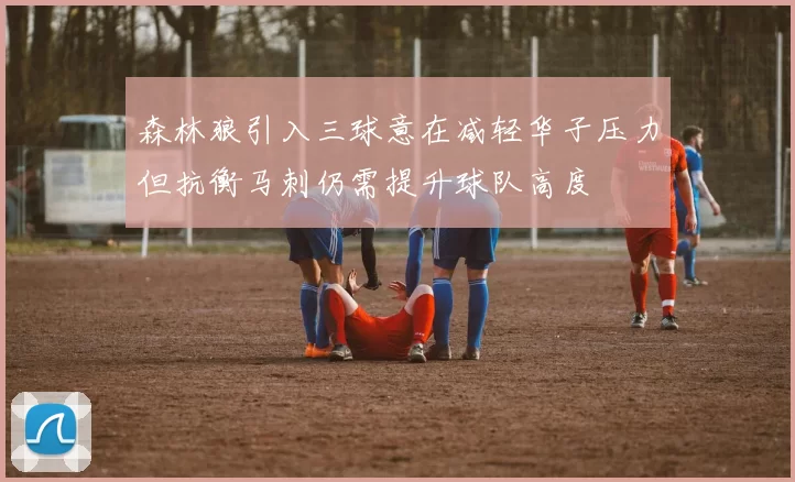 森林狼引入三球意在减轻华子压力但抗衡马刺仍需提升球队高度