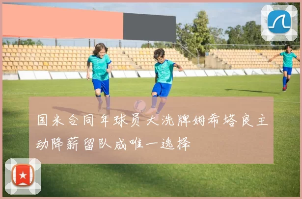 国米合同年球员大洗牌姆希塔良主动降薪留队成唯一选择